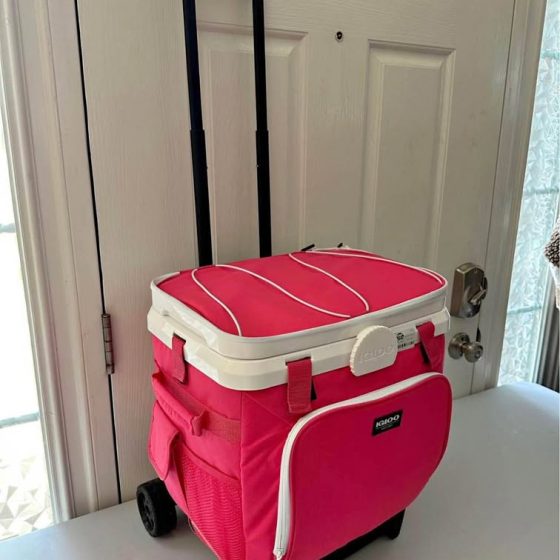 Igloo Cool Fusion 28-Quart Cooler