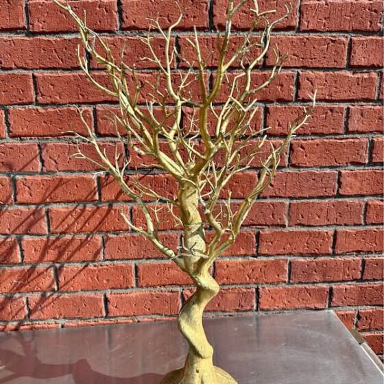 Manzanita Tree Centerpiece Wedding Party Decor