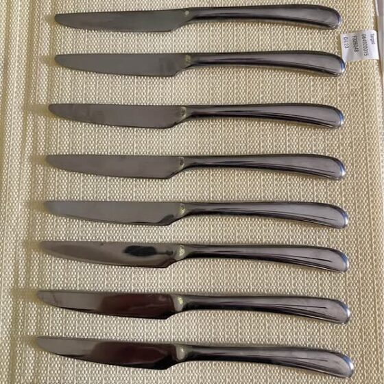 Set of 10 Modern Glossy Stainless Steel Dinner Knives