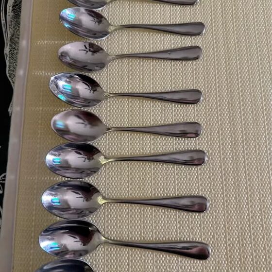 Set of 10 Modern Stainless Steel Teaspoons 18/10