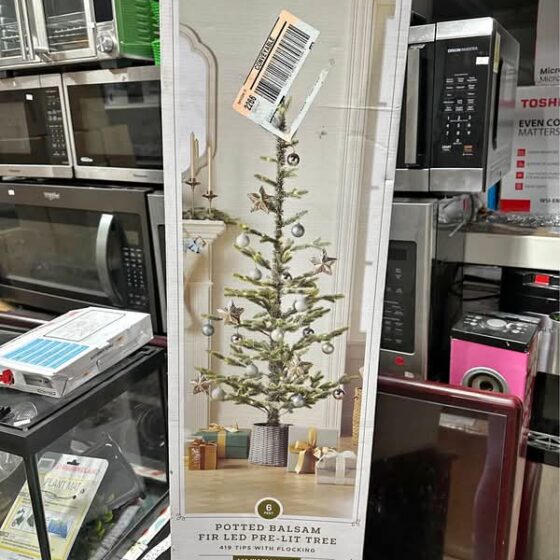 Potted Balsam Fir LED Pre-Lit Tree