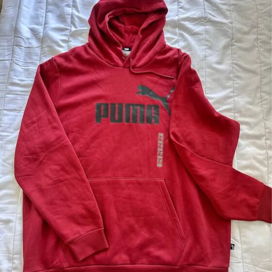 Men's Big Logo Hoodie