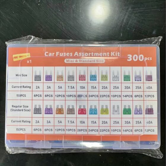 300-Piece Car Fuse Assortment Kit