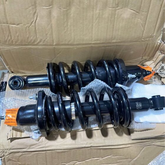 Rear Strut Assemblies for Honda CR-V 2002–2006 — Pair
