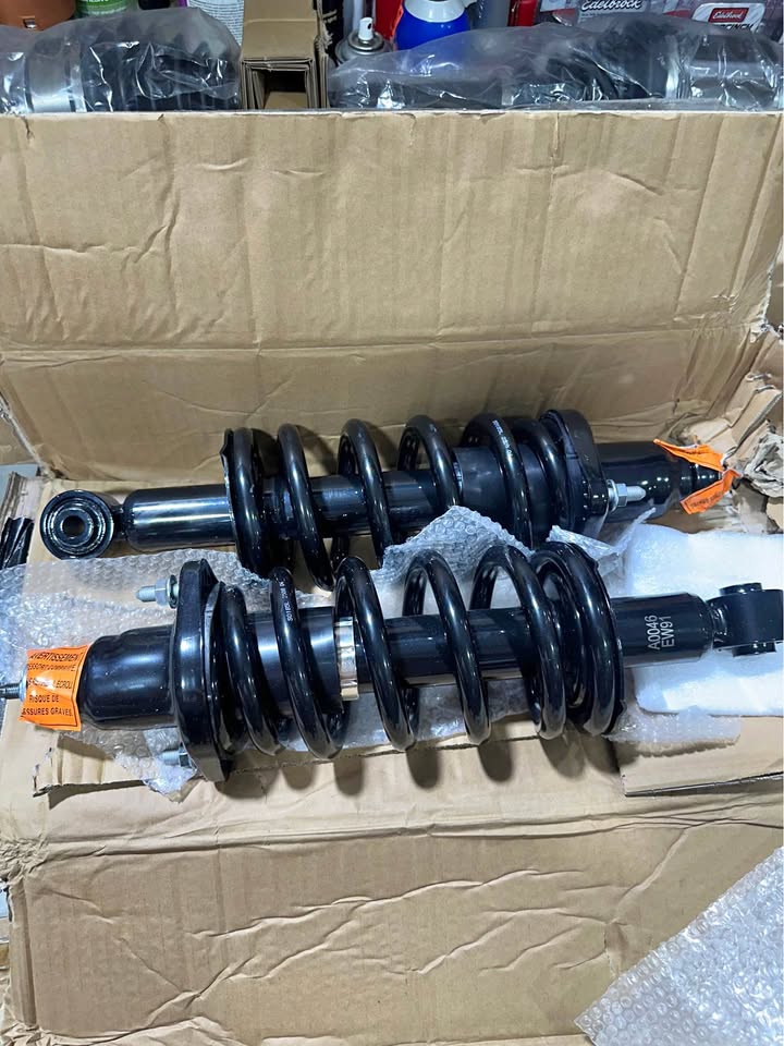 Rear Strut Assemblies for Honda CR-V 2002–2006 — Pair